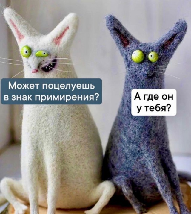 Картинки новые и старые, баяны и аккордеоны