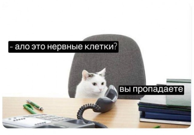 Картинки для деградации 222 (разной степени свежести)