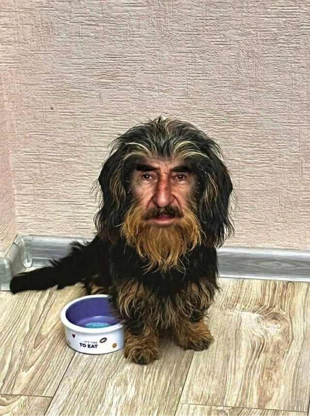 Похож?⁠⁠
