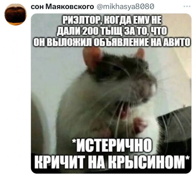 Картинки. Хвиттер и прочее #2
