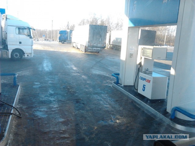 Где яблоки растут!