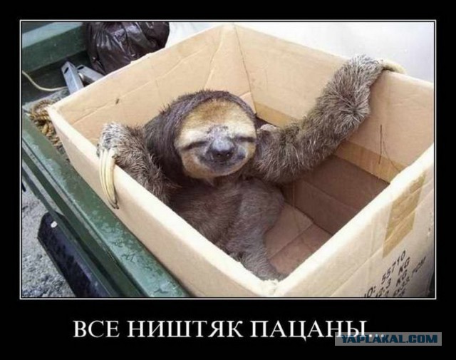 Морфиус уже не тот