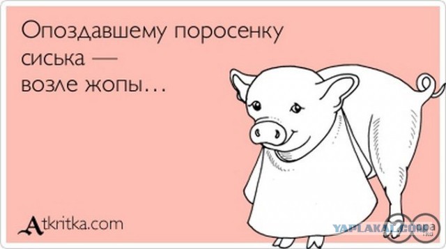 Борцы с коррупцией показали истинного Навального