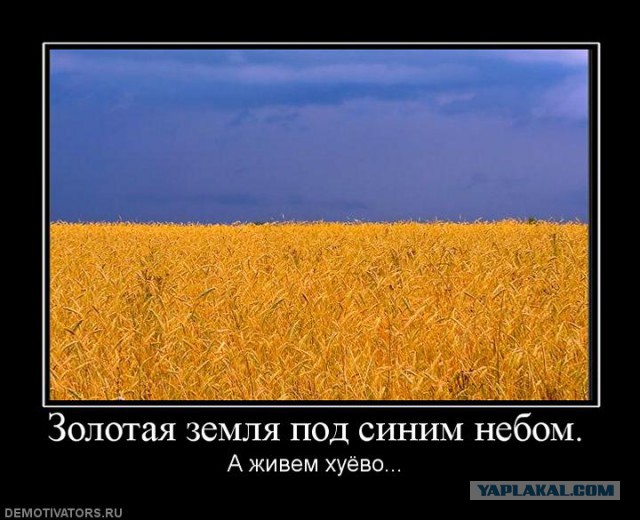Политический юмор