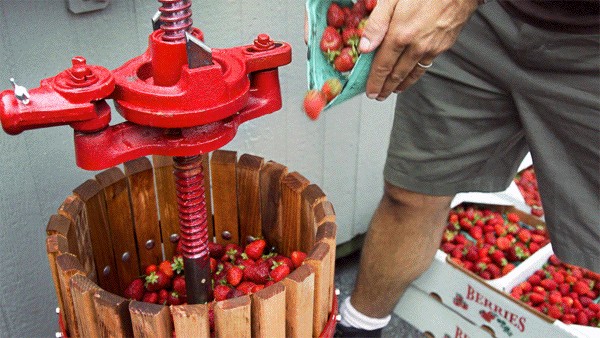 Как делают живое клубничное пиво