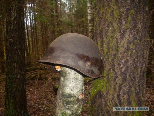 Реставрация немецкой каски М35 времен ВОВ