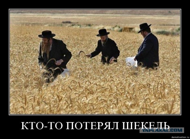 Только в Израиле
