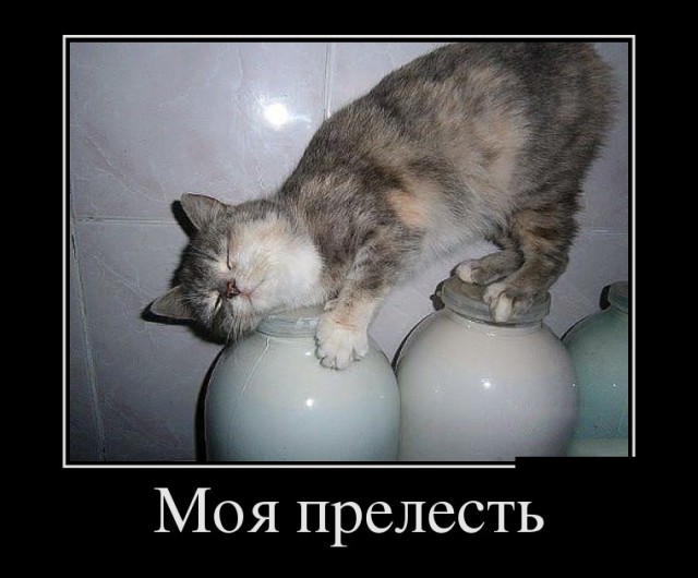 Пятничная подборка