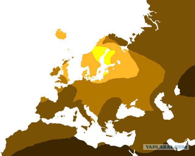 Последние 1000 лет