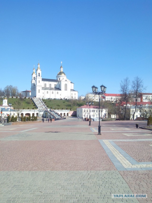 Миграция московского планктона