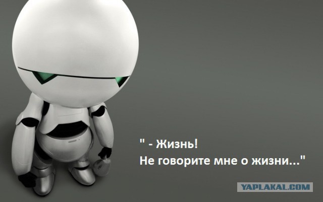 Очень грустная кошка по кличке Луху