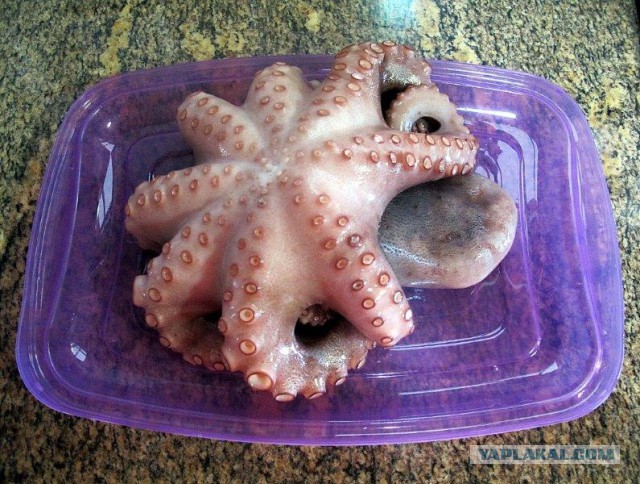 Осьминог по-галисийски. Pulpo a la Gallega.