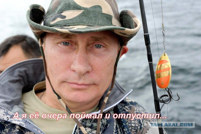 У побережья Австралии выловили акулу-монстра