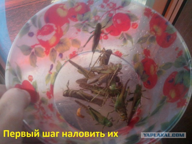 Аццкая кухня 2  (кулинарный адъ)