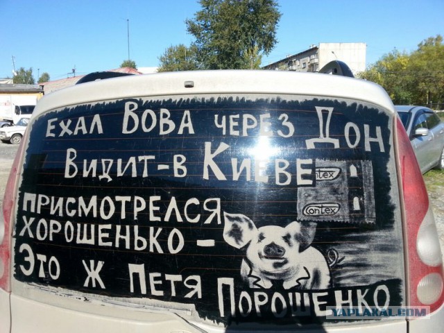 Картинки
