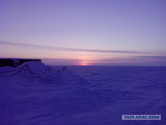 Я узнал, что у меня есть огромная семья