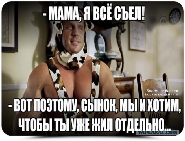 Очередная подборка картинок из интернета