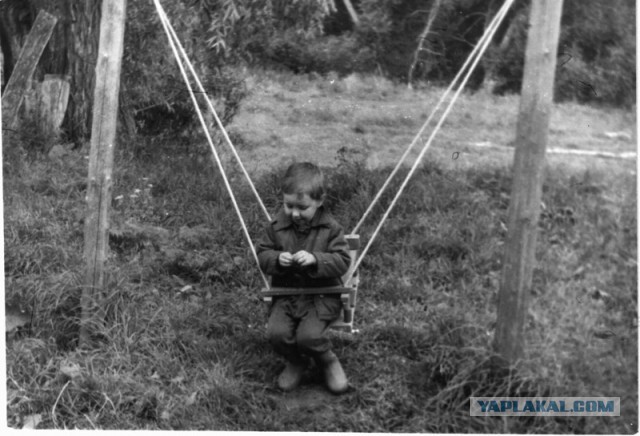 Вот оно какое наше лето!