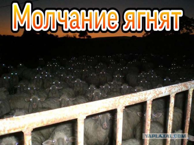 Только в России.