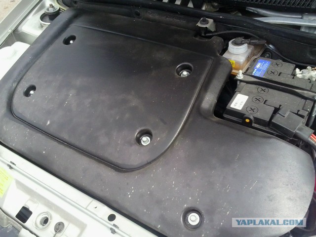 Калина! Что ты делаешь?