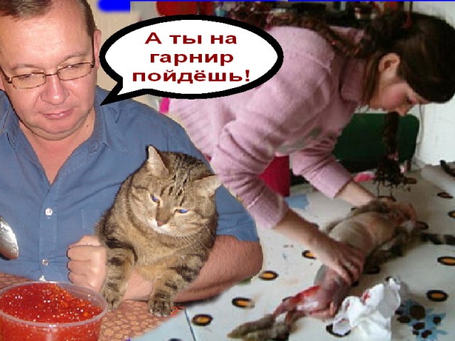 Фотожаба: Правильное питание для кота