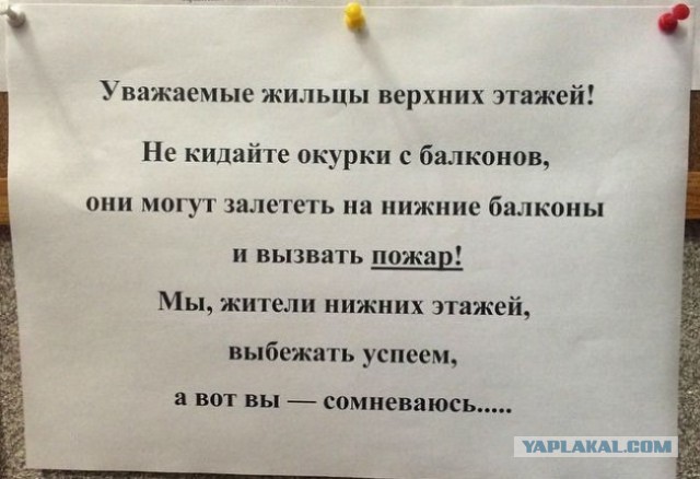 15 душевных объявлений из наших подъездов