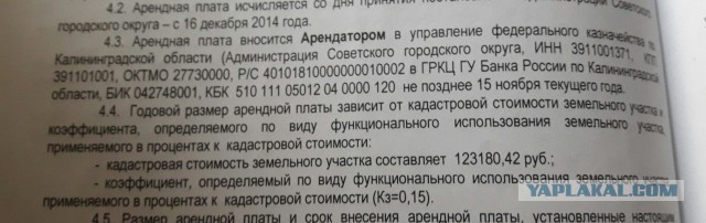 В усадьбу Медведева в Плёсе завезли полсотни алтайских маралов. 4 тысяч га земли за 40 рублей