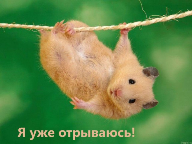 С ПЯТНИЦЕЙ!