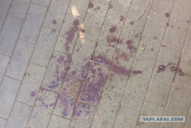Обезумевшие бойцы ММА едва не убили скейтера в центре Воронежа
