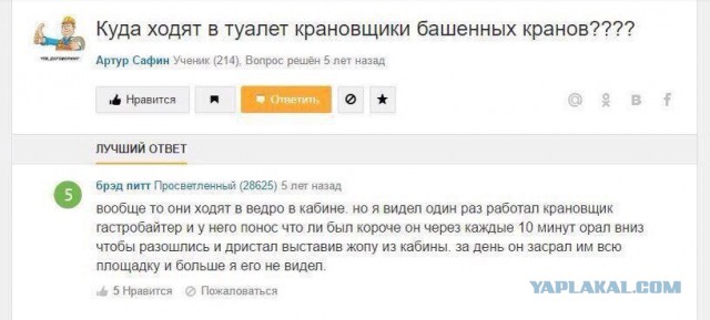 Журнал школьный деградант