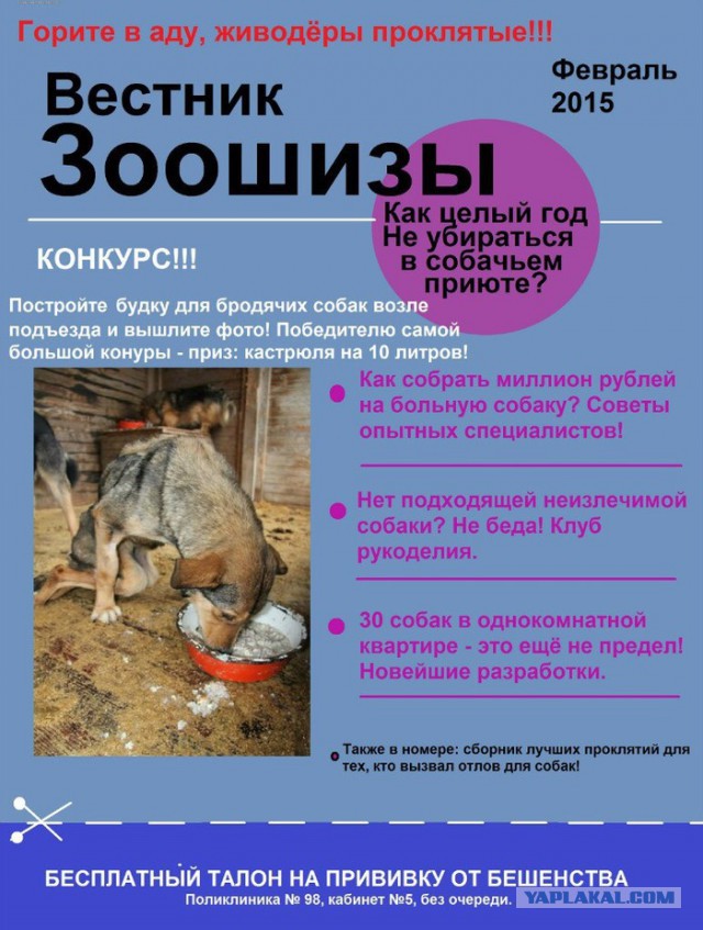 Дальневосточный лесной кот повадился охотиться на кур и попал в капкан, но люди поступили неожиданно…