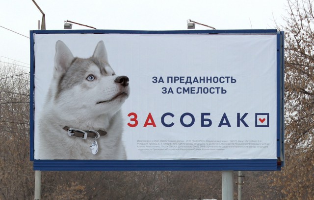 Подборка интересных и веселых картинок