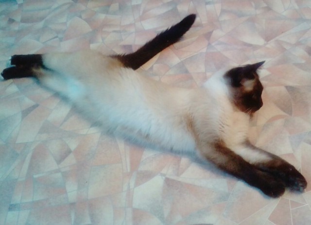 Немного милоты