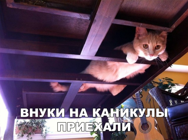 Нестандартный юмор