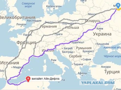 Бизнес-план на салфетке