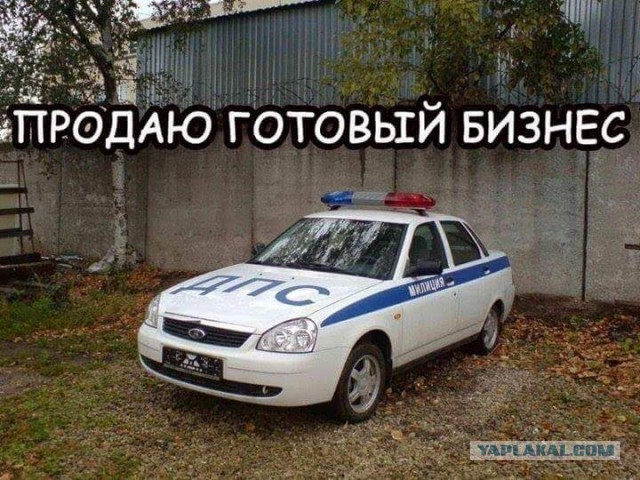 44 умные мысли