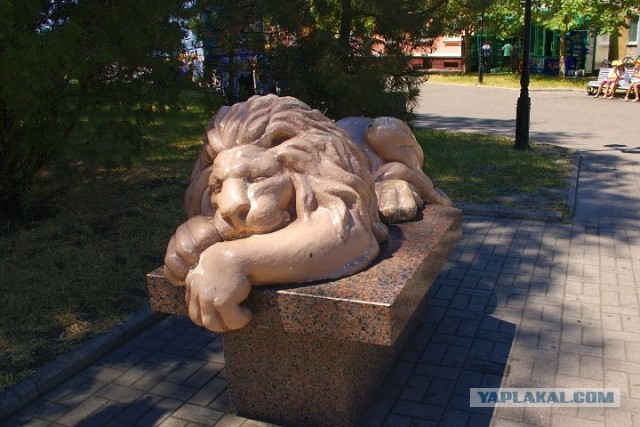 ЯП вокруг света. Германия, Австралия, Китай...