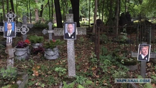К безымянным могилам на кладбище Петербурга приклеили лица российских политиков и телеведущих.