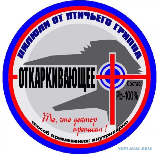 Карельский город накрыл желтый туман, а улицы засыпало мертвыми птицами
