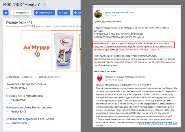 Помогите вернуть кота! Приют "Преданное сердце" украл кота и не отдает!-2