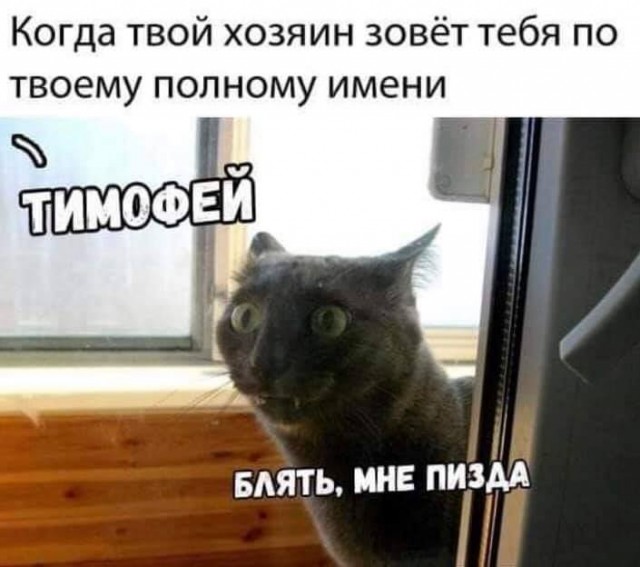 Бредзона