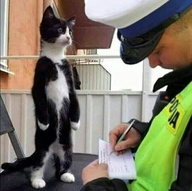 Самоизоляция, для кого она?
