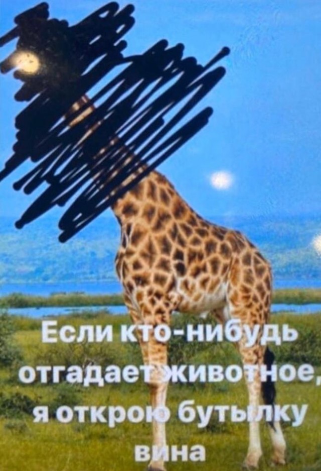 Так себе картинки 12.05.20
