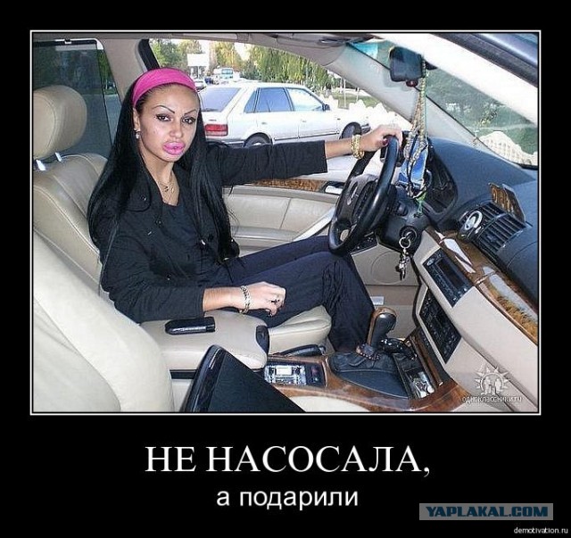 Права купила, на мозги не хватило...