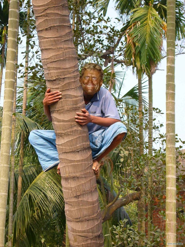 Накачанный зверь
