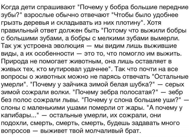 Безумные рефлексы антилопы