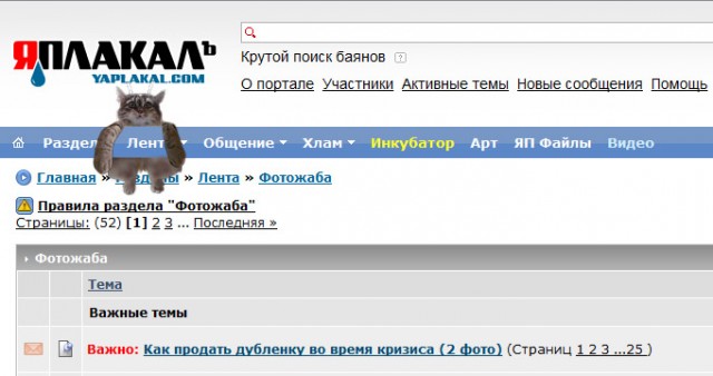 Фотожаба: Ноги котэ