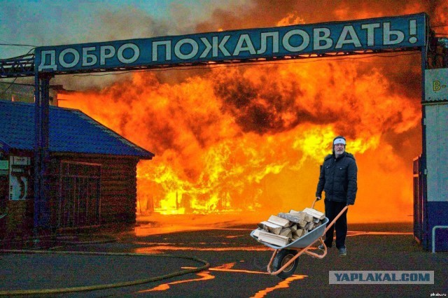 Дровишки в баню или "Гоблин" Пучков попал на фотожабу