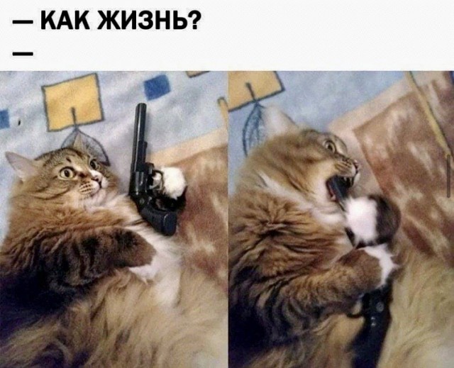 "Опять 25" 13.12.20