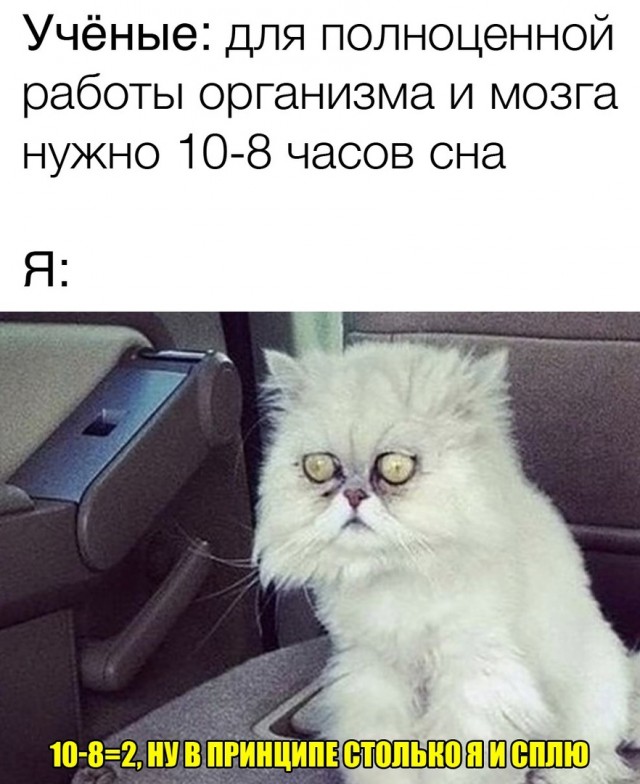Кретинизмы из сети 13.01.21